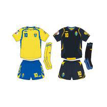 Евро-2008: команда Швеции – всегда и везде
