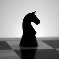 «Премьерочная»: конь Рабиновича может сыграть на появлении «темной лошадки»