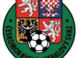 Вратарь Днепра и хавбек Шахтера заявлены на Евро-2012