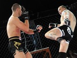 В День спорта в Харькове состоится шоу от ведущих бойцов ММА (ФОТО)