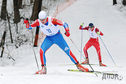 Восточноевропейский Кубок по лыжным гонкам