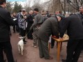 Первый чемпионат Украины по домино на центральной аллее парка Шевченко