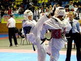 В Харьков едут лучшие тхэквондисты из 20 стран мира