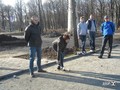 Как харьковчане, марокканцы и иранцы в парке Горького за Кубок осени боролись (ФОТО)