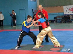 Мастера кунгфу сразились в Харькове за Кубок Украины (ФОТО)
