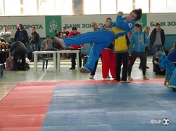 Мастера кунгфу сразились в Харькове за Кубок Украины (ФОТО)