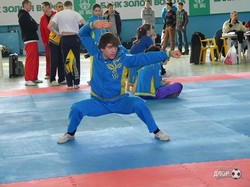 Мастера кунгфу сразились в Харькове за Кубок Украины (ФОТО)