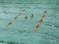 Харьков принял первый открытый чемпионат Украины по синхронному плаванию (ФОТО)