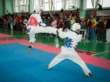 Харьковские тхэквондисты поборются за выход на юношескую Олимпиаду