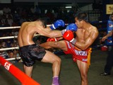 Харьков примет матчевую встречу по муэй-тай между Украиной и Тайландом
