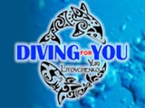 Diving for You, клуб-магазин