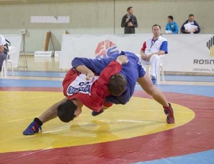 Харьковские самбисты завоевали медали чемпионата Европы